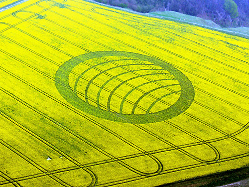 Crop Circle Sphère MerKaBa - Tiré du site www.cropcircleconnector.com